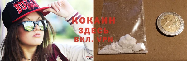 дмт Осташков