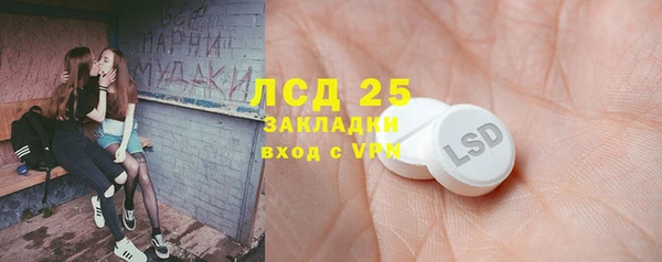 гидра Осинники