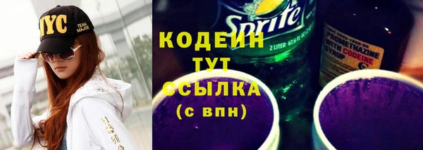 дмт Осташков