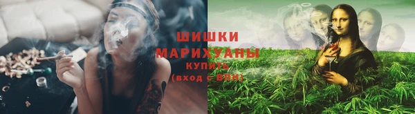 дмт Осташков