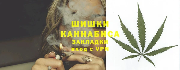 дмт Осташков