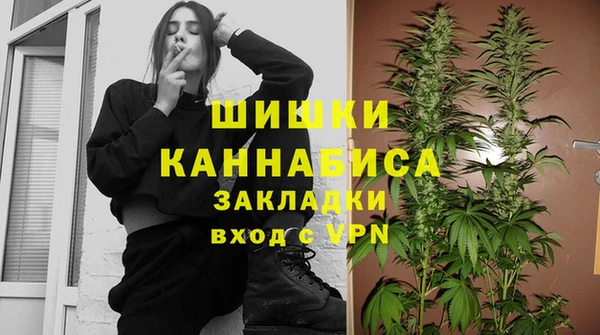 гидра Осинники