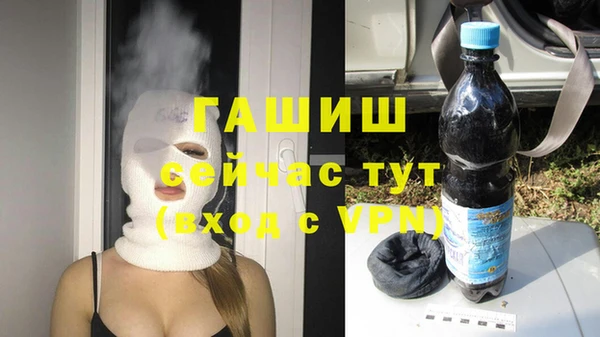 гидра Осинники