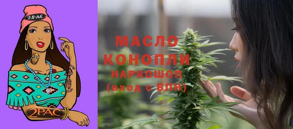 гидра Осинники