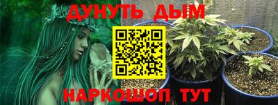 ГАЛЛЮЦИНОГЕННЫЕ ГРИБЫ Бузулук