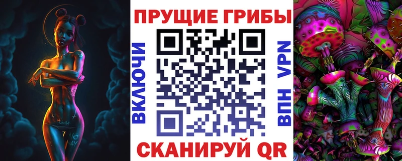 Псилоцибиновые грибы GOLDEN TEACHER  дарк нет состав  Советская Гавань 