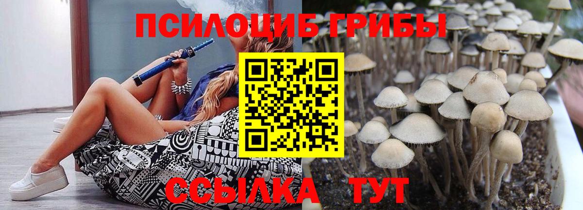 Псилоцибиновые грибы GOLDEN TEACHER Советская Гавань